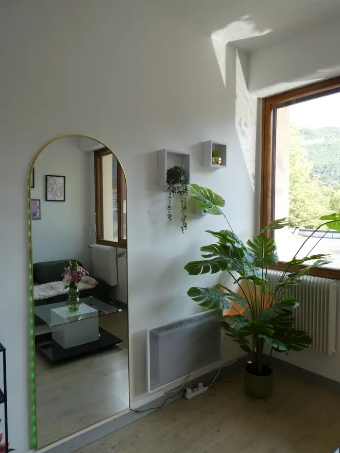 Le miroir en arche et la plante devant la fenêtre
